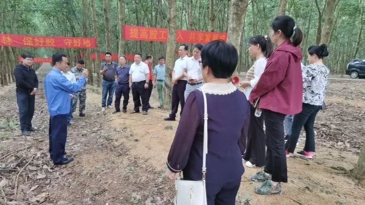 天下割胶冠军张健给各单位学员做标准化胶园建设及割胶手艺的履历先容。。。。。。.jpg