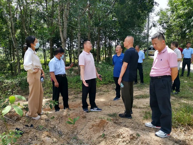 南宫国际(中国游)官方网站