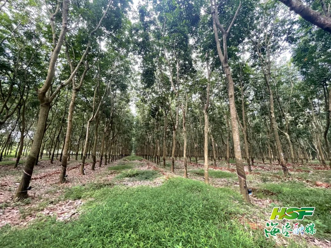 南宫国际(中国游)官方网站