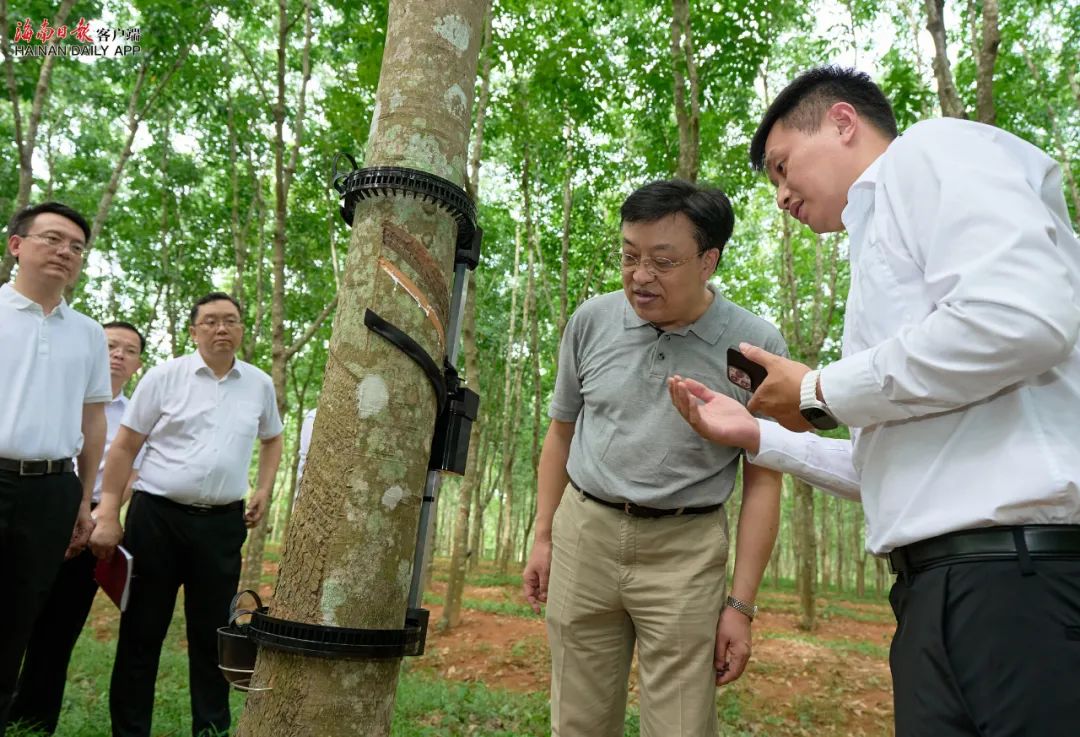 南宫国际(中国游)官方网站