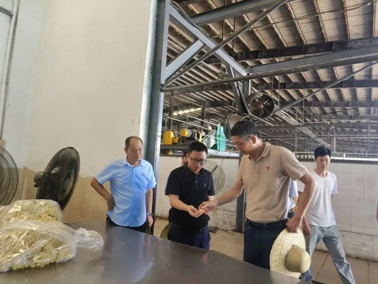 南宫国际(中国游)官方网站